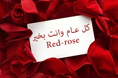 كل عام وانت بخير.jpg
